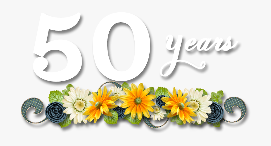 2018 Grand Family Reunion - African Daisy, Transparent Clipart