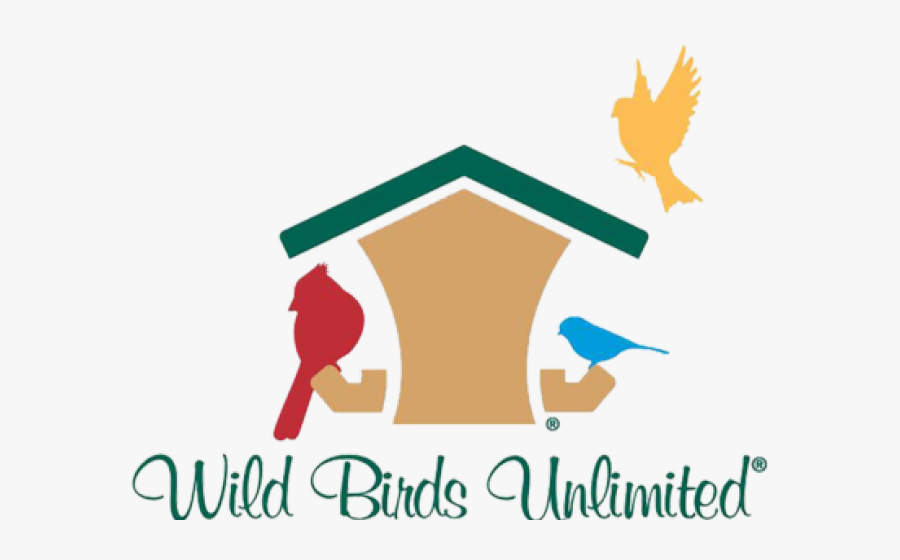 Hoot Clipart Nightowl - Wild Bird Unlimited, Transparent Clipart