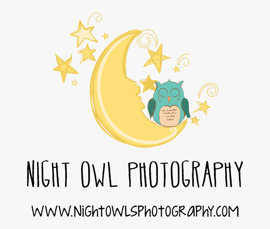 Night Owl Clipart, Transparent Clipart