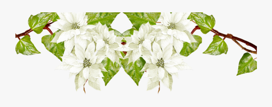Floral Clipart Winter - Jasmine, Transparent Clipart