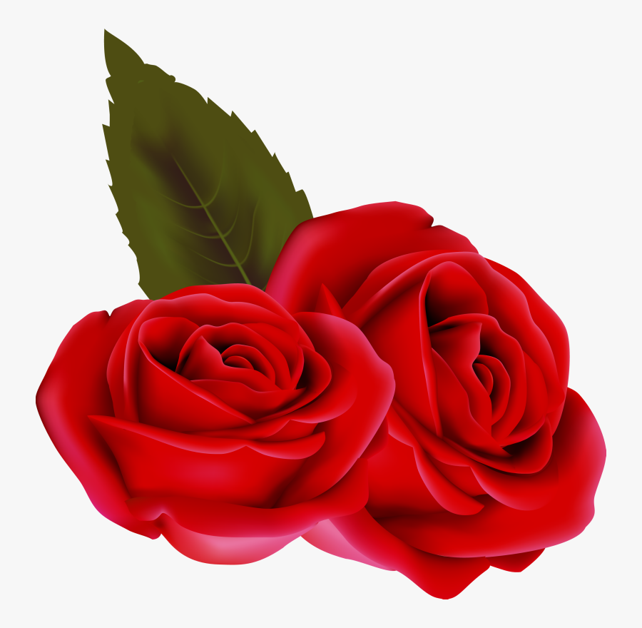 Bouqet De Roses Rosa Fleur Rouge Passion St Valentin - Fleur Rose En Png, Transparent Clipart