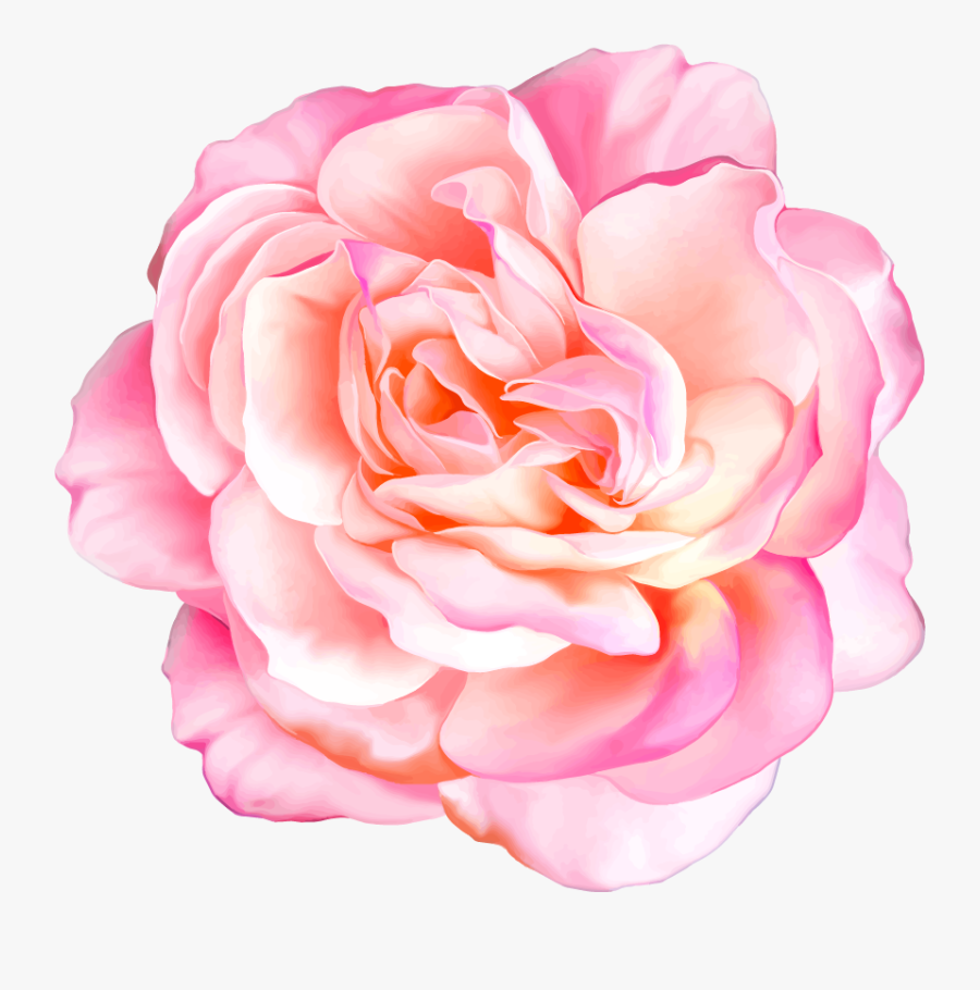 Png Клипарт "beautiful Flowers - Realistic Flowers, Transparent Clipart