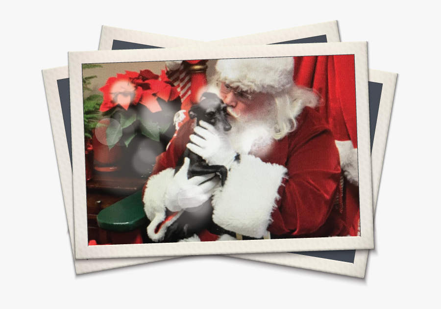 Picture Frame, Transparent Clipart