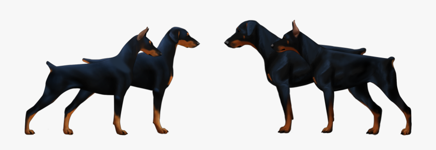 European Doberman Vs American Doberman, Transparent Clipart