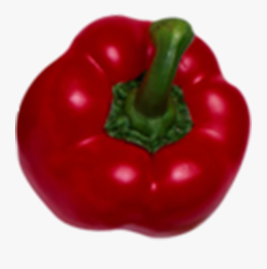 Chili Drawing Habanero - Red Bell Pepper, Transparent Clipart