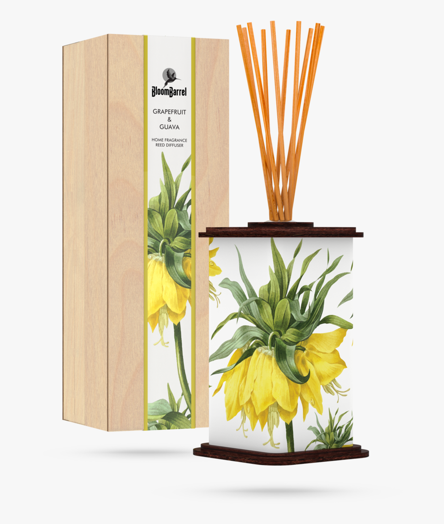 Bloombarrel Home Fragrance Reed Diffuser Grapefruit - Bromelia, Transparent Clipart