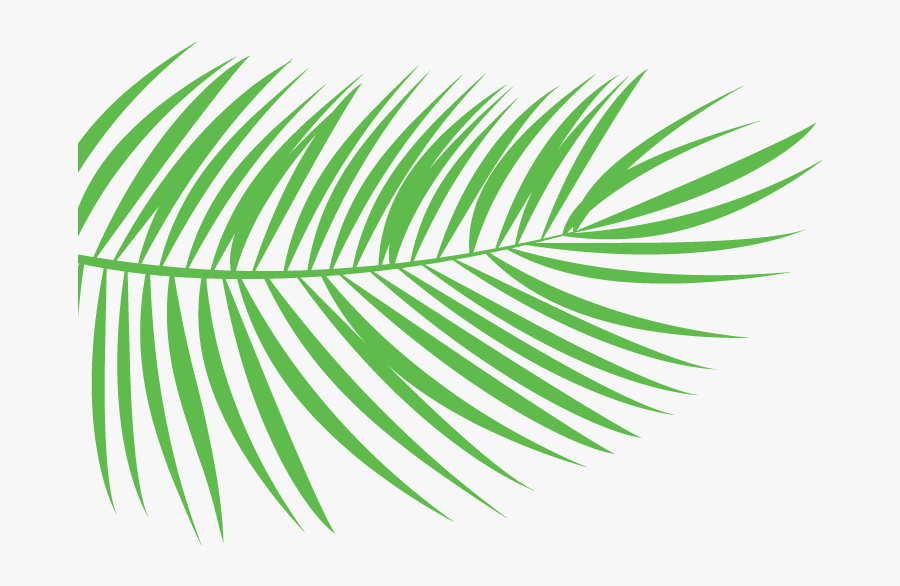 Transparent Reeds Png, Transparent Clipart