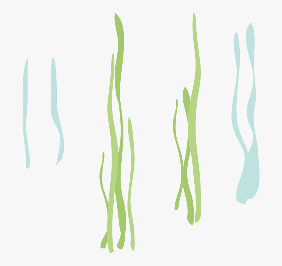 Reeds-2x - Calligraphy - Calligraphy, Transparent Clipart
