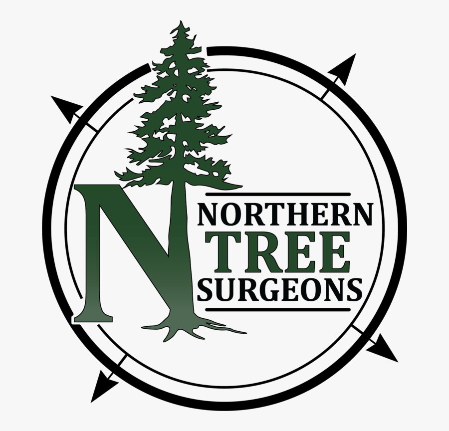 Northern Tree Surgeons, Offering Arborist And Forestry, Transparent Clipart