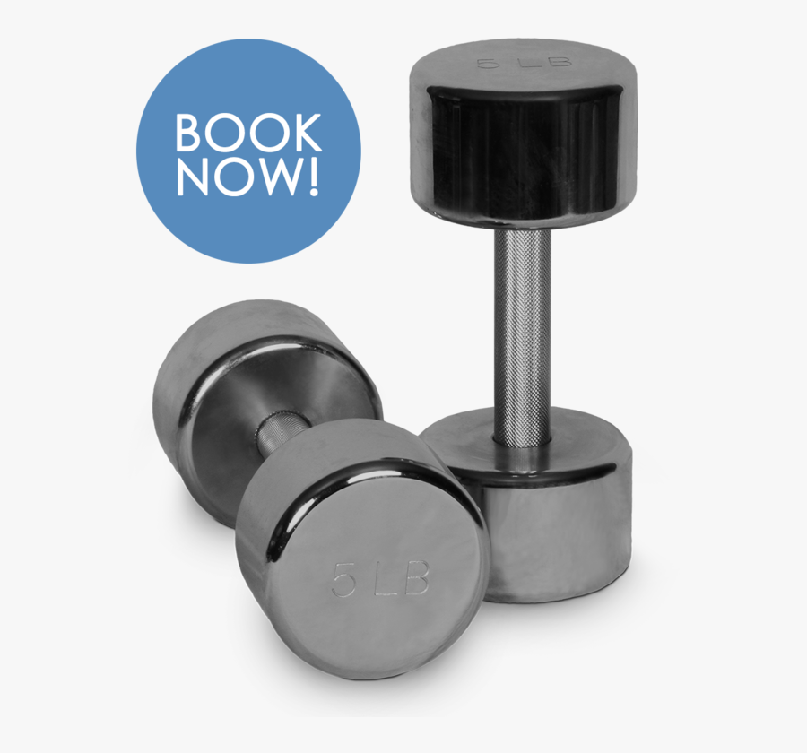 Transparent Excercise Png - Stainless Steel Gym Dumbbells, Transparent Clipart