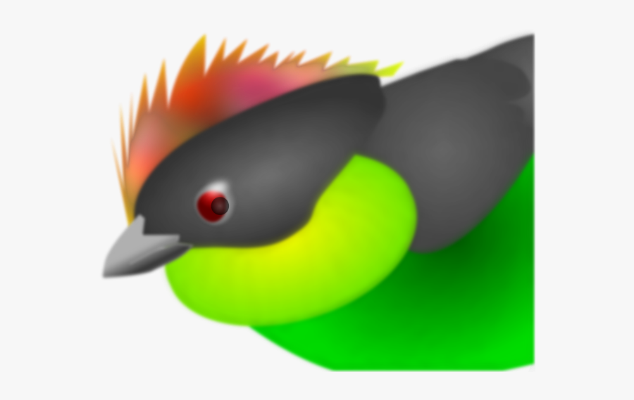 Finch - Portable Network Graphics, Transparent Clipart