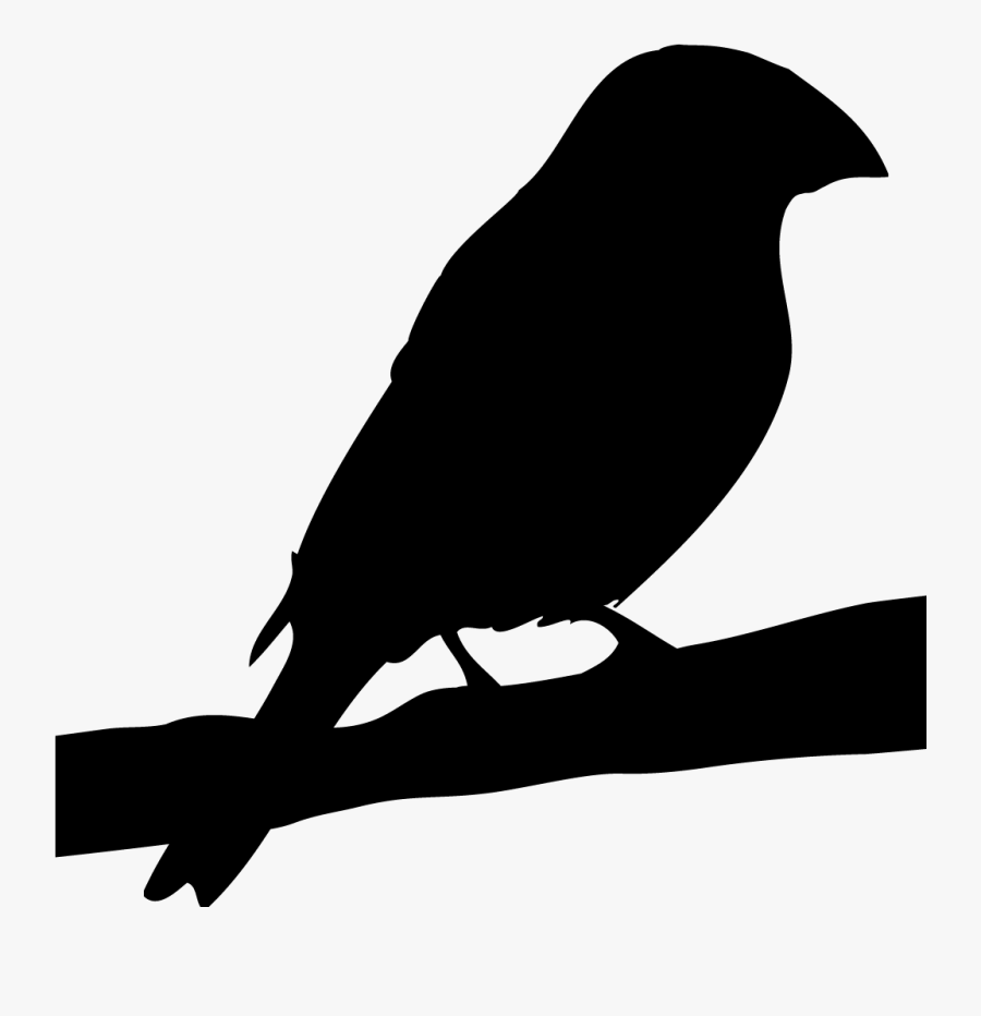 Rose Breasted Grosbeak Silhouette, Transparent Clipart