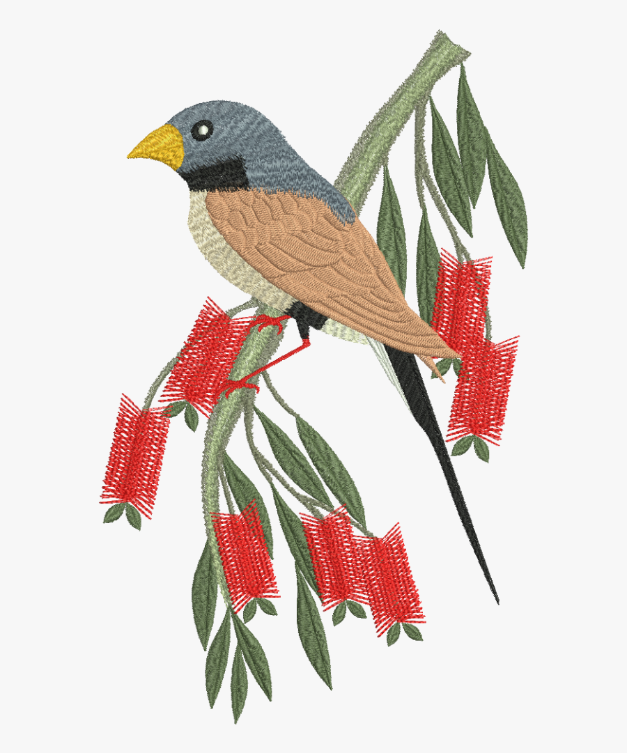 Finch Transparent Images Png - Motif Design On Parrot, Transparent Clipart