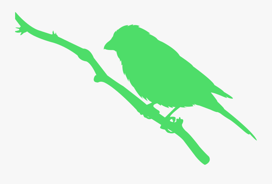 Parakeet, Transparent Clipart