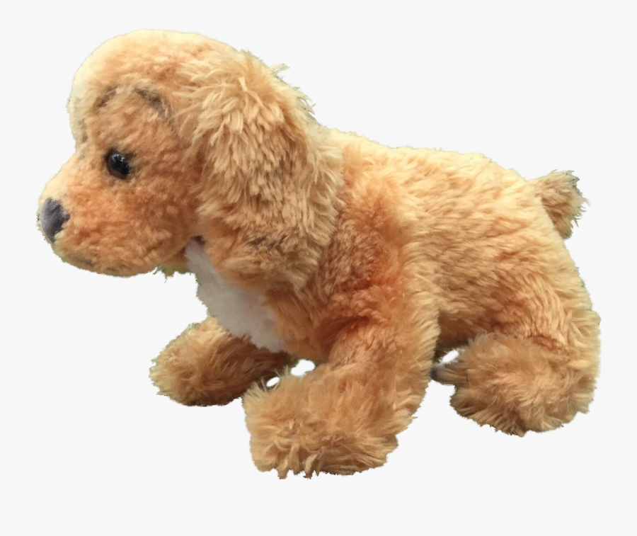 Miniature Poodle Toy Poodle Spanish Water Dog Standard - Toy Poodle, Transparent Clipart