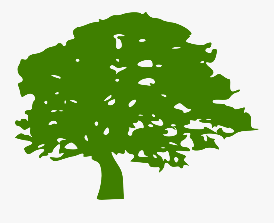 This is tree tree is green