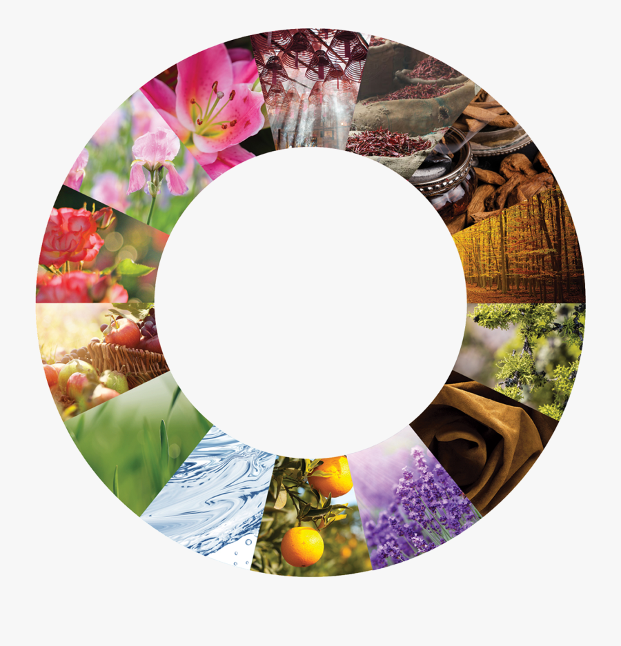 The Fragrance Wheel - Circle, Transparent Clipart