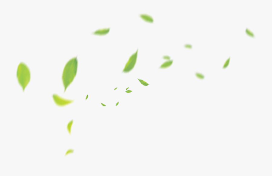 Clip Art Green Pattern Transprent Png - Tea Leaf Floating Png, Transparent Clipart