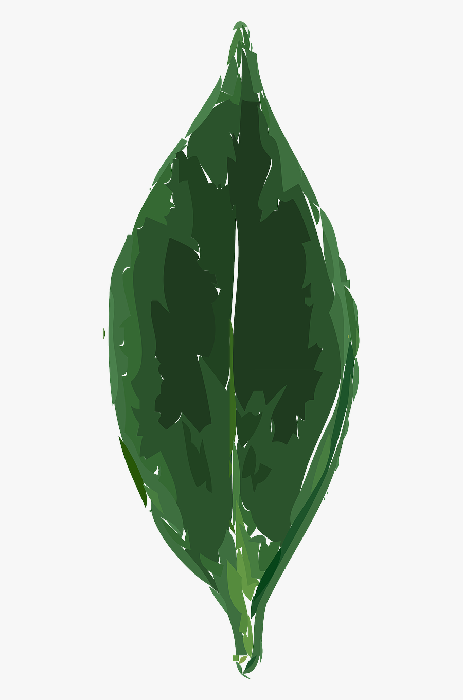 Transparent Plant Cartoon Png - Tea Leaf Clip Art, Transparent Clipart