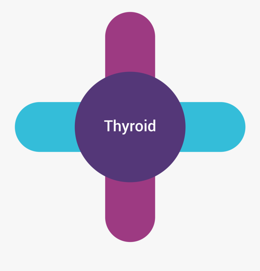 Harpal Clinic Months Into, Transparent Clipart