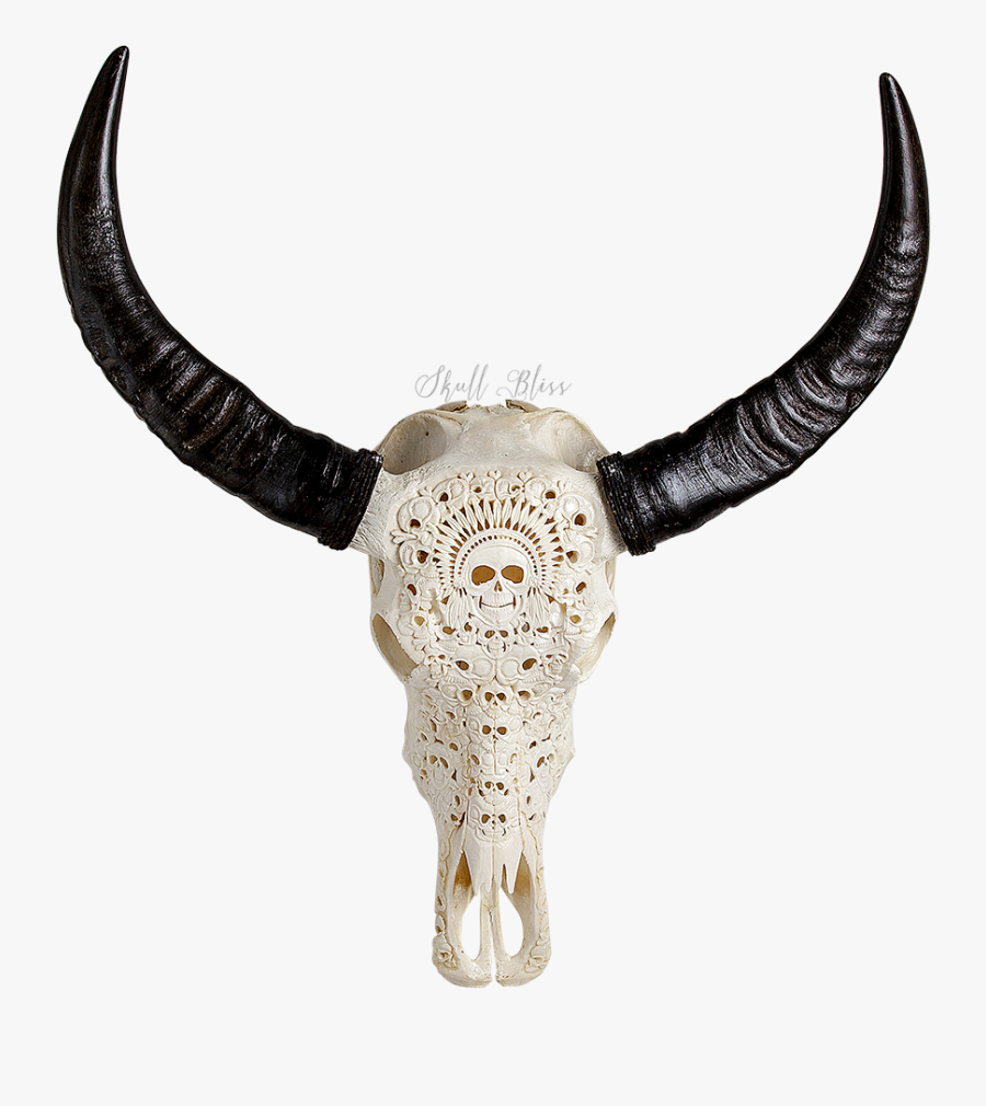 Animal Skulls Cattle Horn Bone - Skull, Transparent Clipart