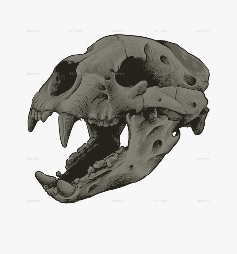Clip Art Bearskull Instagram - Skull, Transparent Clipart