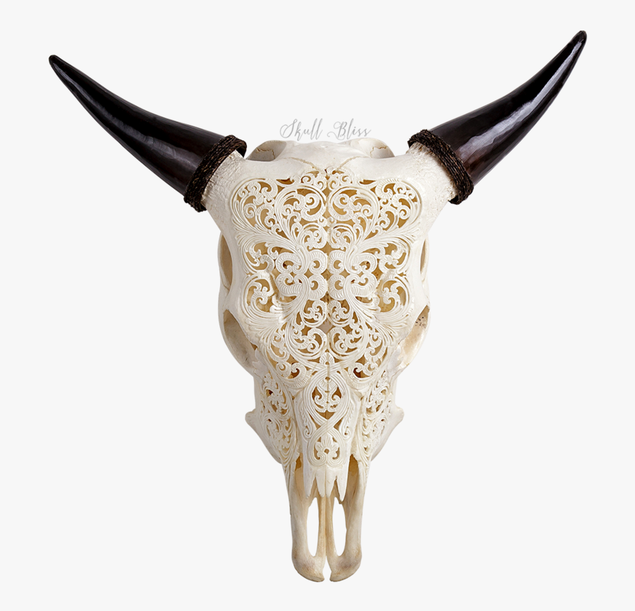Choose From Over 75 Different Carved Animal Skull Designs - Animal Skulls With Designs, Transparent Clipart