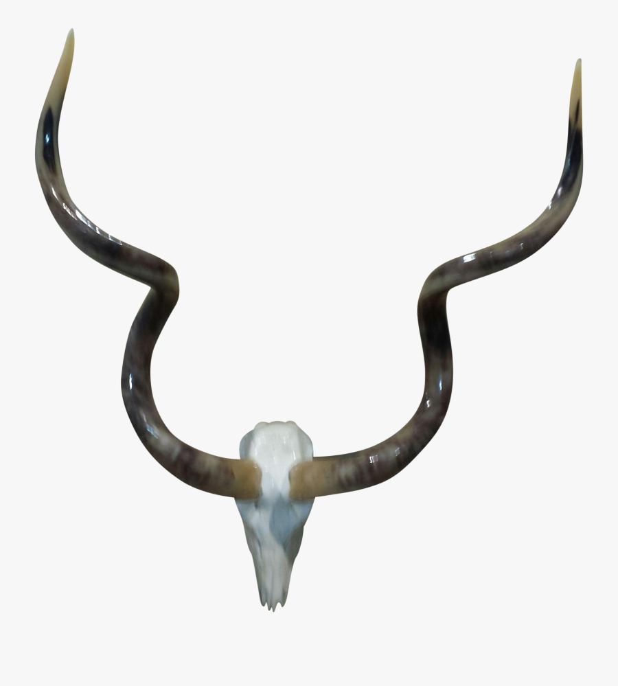 Animal Skulls With Horns Png Download - Horn, free clipart download, png, c...