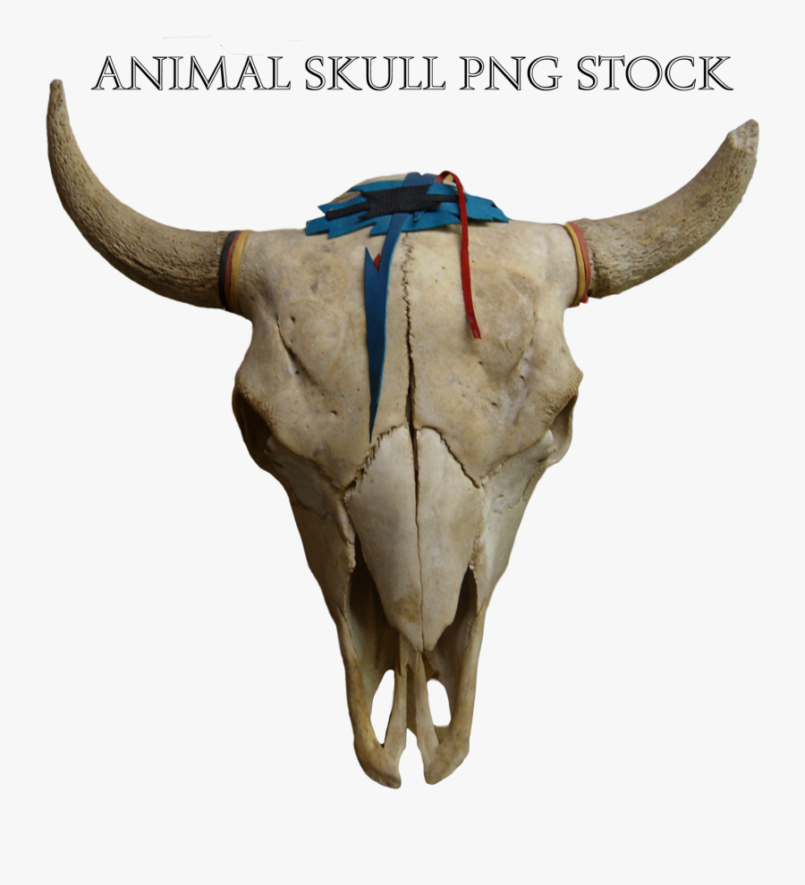 Transparent Animal Skull Png - Animal Skull Png, Transparent Clipart