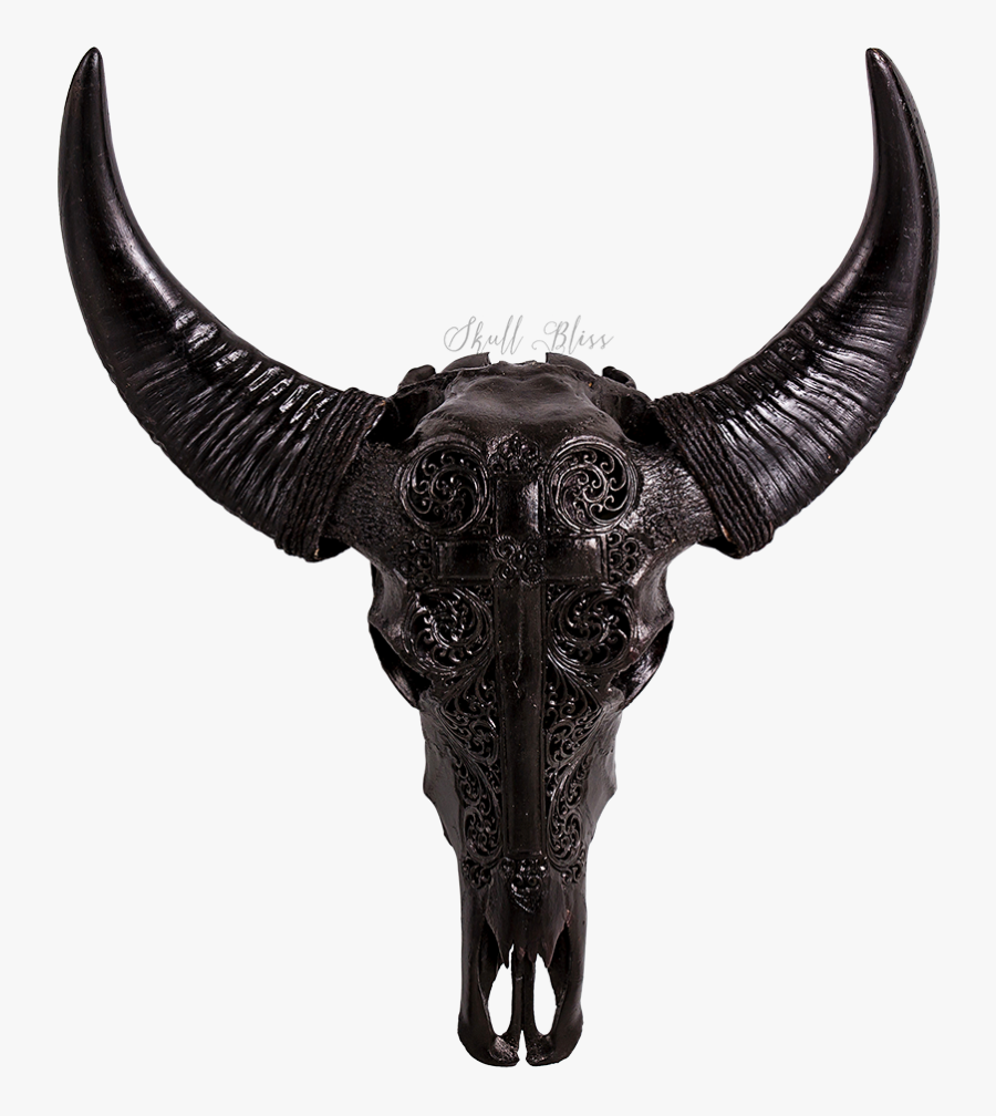 Cattle Horn Animal Skulls Water Buffalo - Carved Bull Skull Black, Transparent Clipart