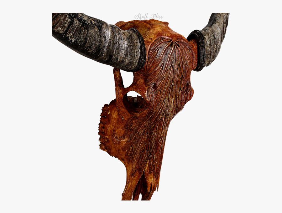 Animal Skulls Cattle Horn - Bull, Transparent Clipart