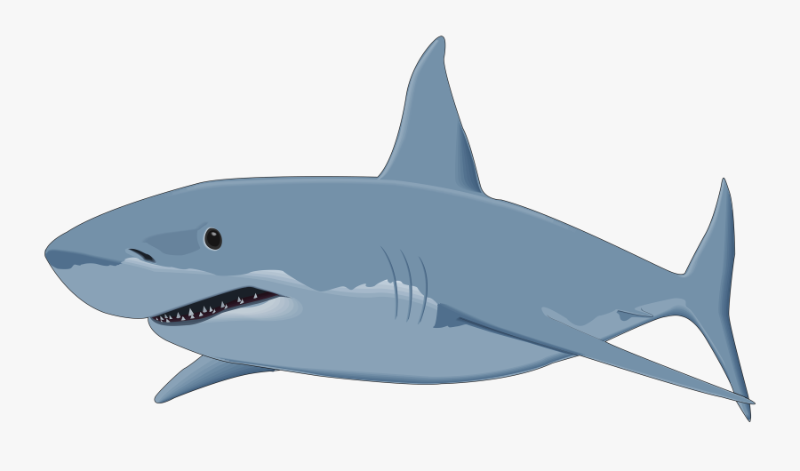 Great White Shark Clipart, Transparent Clipart