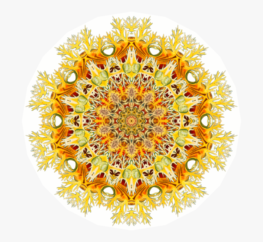 Circle, Transparent Clipart