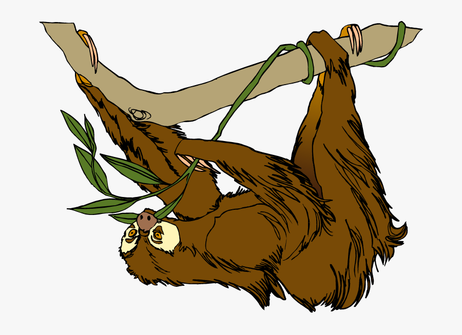 Free Sloth Clipart - Sloth Png Clipart, Transparent Clipart