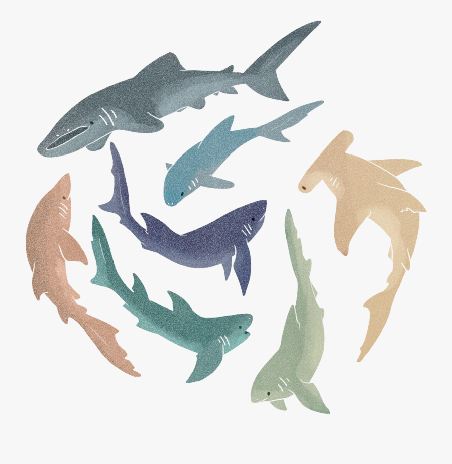 Cute Shark Png - Aesthetic Cute Shark Backgrounds, Transparent Clipart