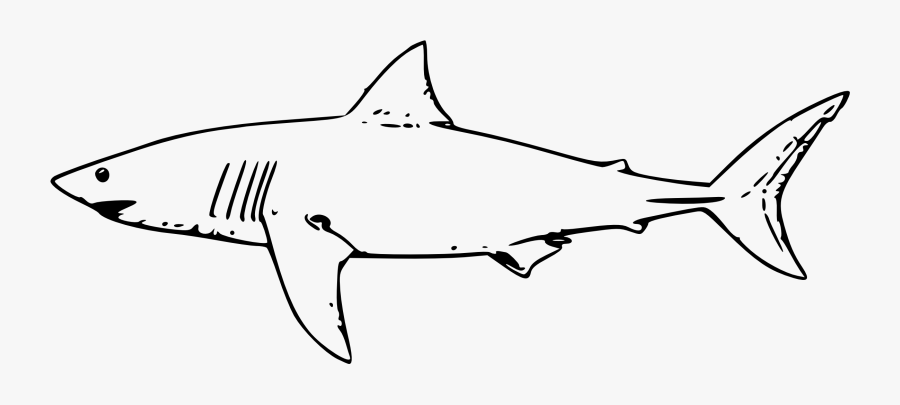 Shark Clipart Great White Shark - Great White Shark Clipart, Transparent Clipart