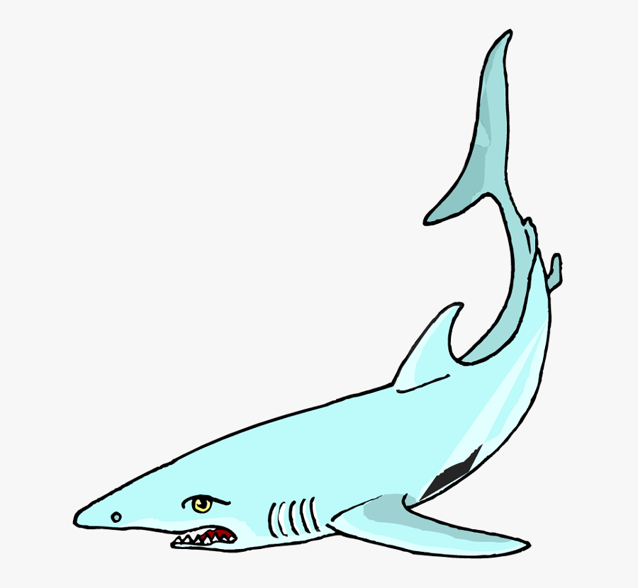 Free Shark Clipart - Shark Clip Art, Transparent Clipart