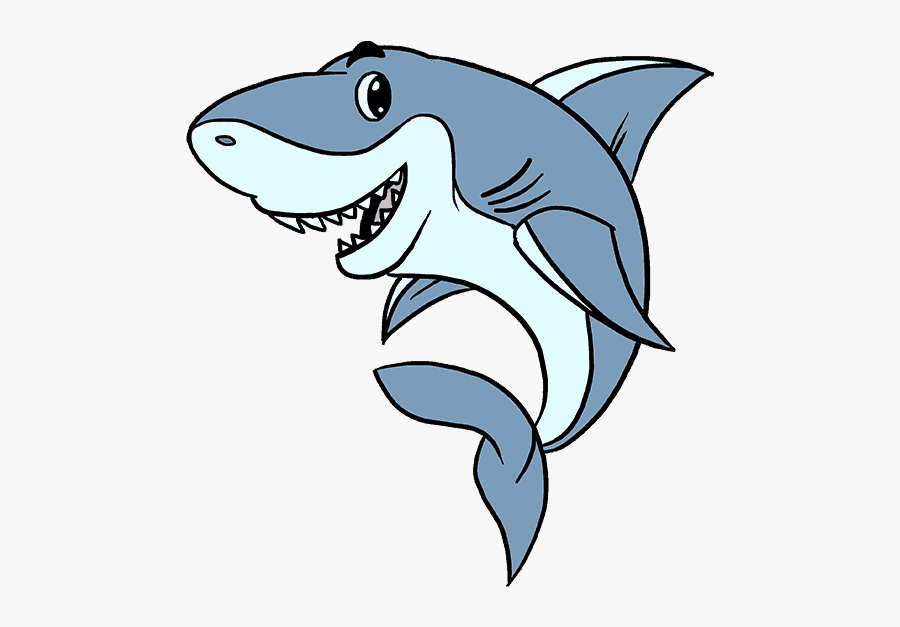 How To Draw A Cartoon Shark Easy Step - Drawing Sharks, Transparent Clipart