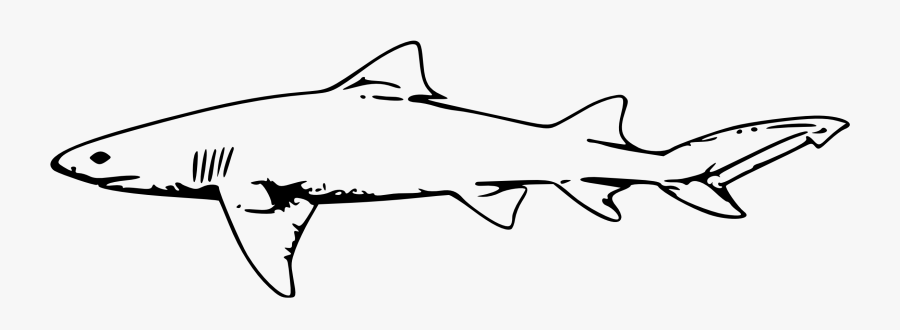 Shark Clipart Color - Lemon Shark Outline, Transparent Clipart