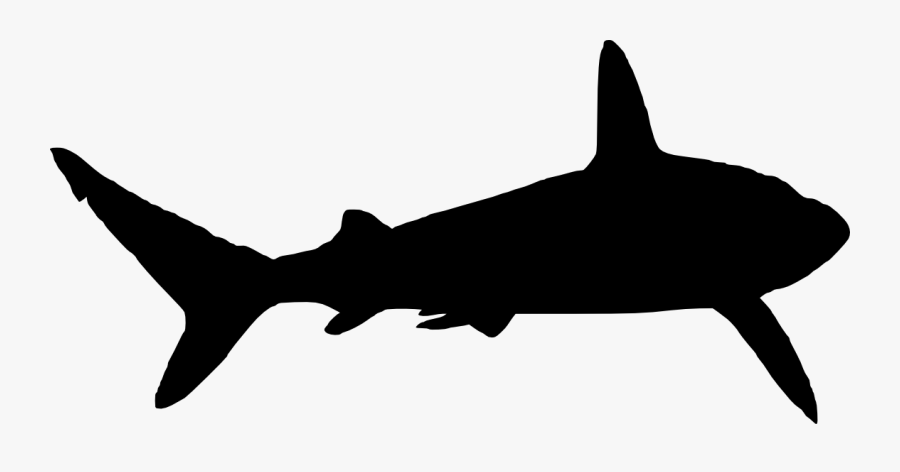 6 Shark Silhouette - Mako Shark Silhouette Png, Transparent Clipart