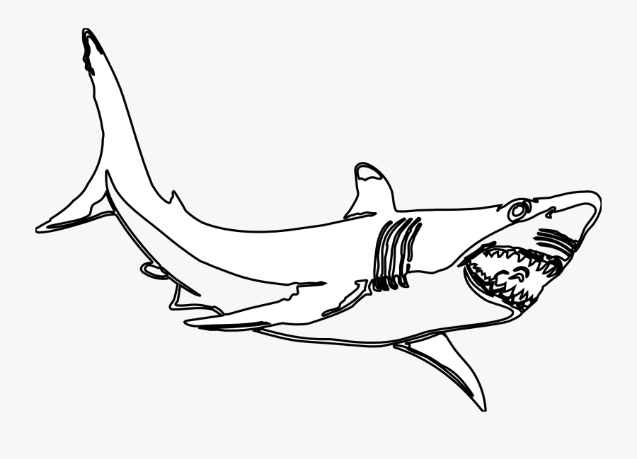Bull Shark Clipart Killer Shark - Great White Shark Clipart Black And White, Transparent Clipart