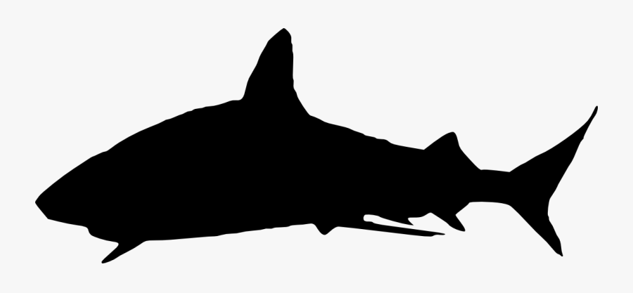 6 Shark Silhouette - Shark Silhouette Png, Transparent Clipart