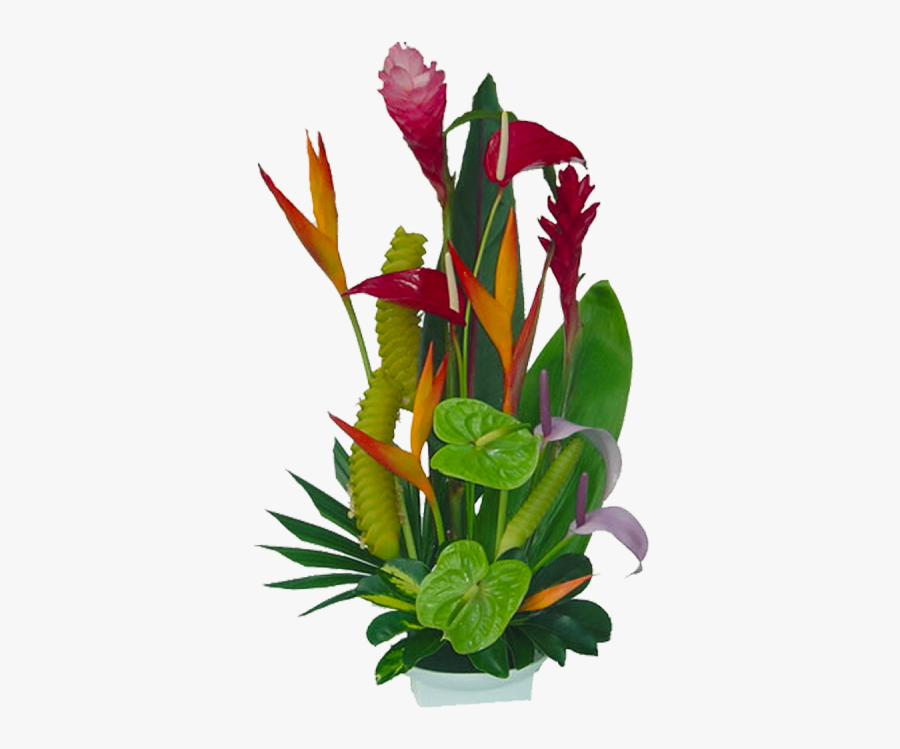 Clip Art Florida - Vector Graphic Tropical Flowers Png, Transparent Clipart