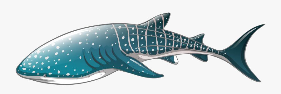 Whale Shark Png Clipart - Clip Art Whale Shark, Transparent Clipart