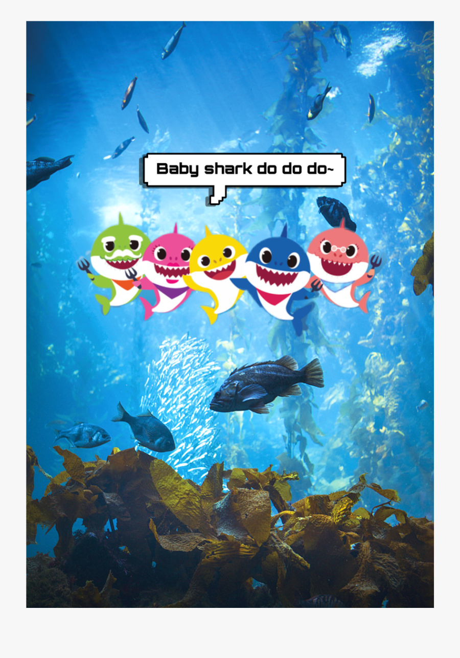 #baby Shark - Sea, Transparent Clipart