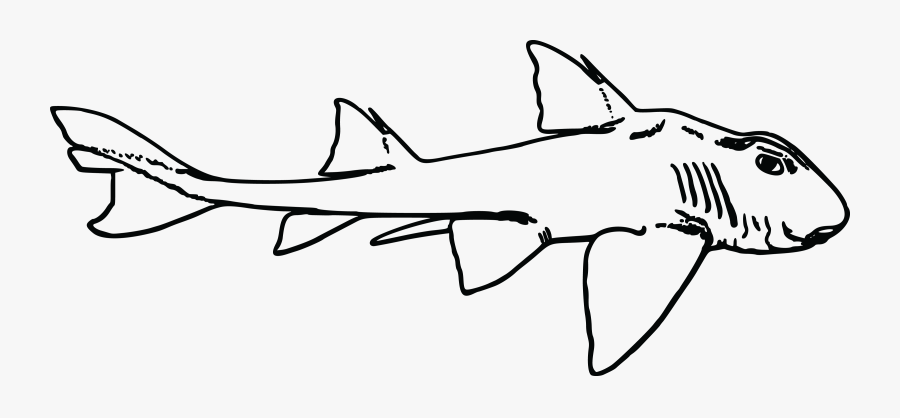 Free Clipart Of A Shark - Port Jackson Shark Outline, Transparent Clipart