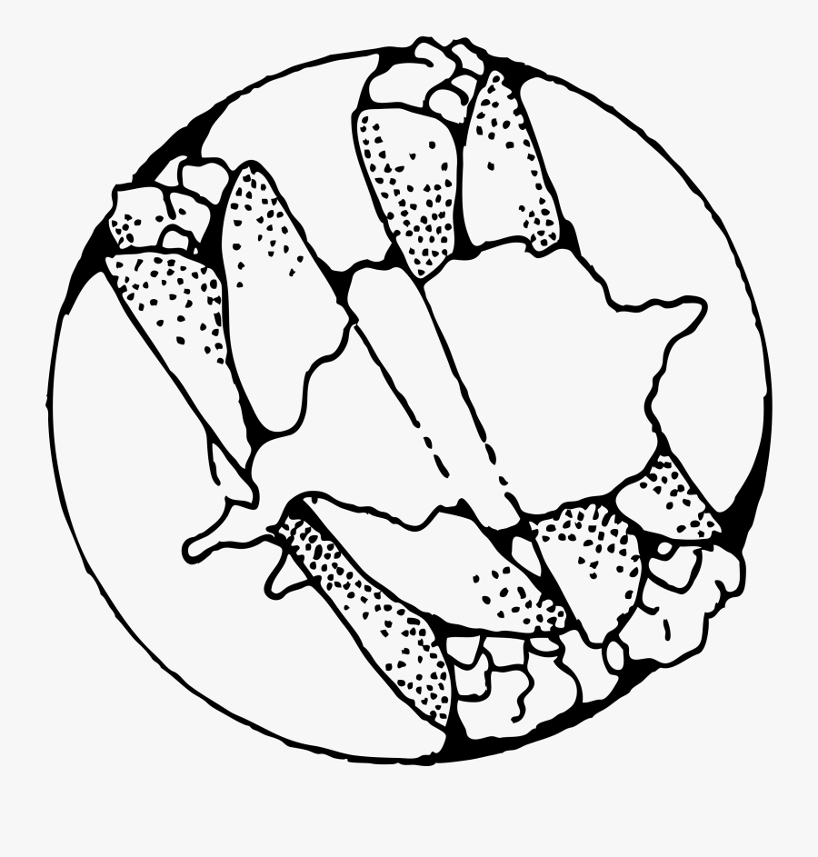 Vector Transparent Urgent Coloring Pages Sevimlimutfak - Mexico Food Coloring Pages, Transparent Clipart