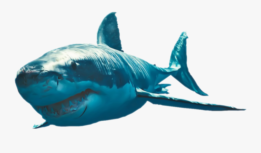 Shark Clipart - Great White Sharks Png, Transparent Clipart