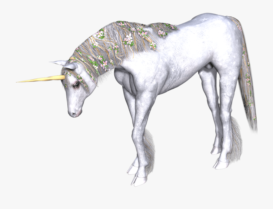 Full White Unicorn Head Down - Drawing Of A Horse Looking Down, Transparent Clipart