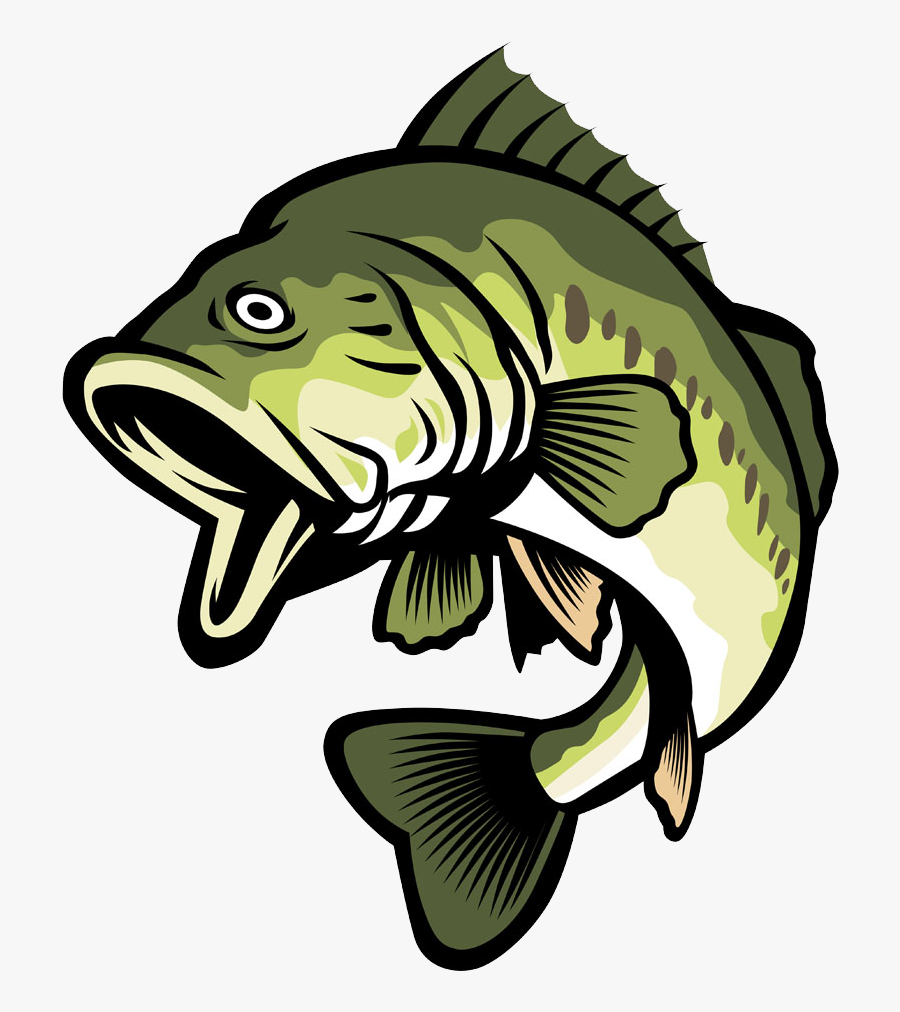 Bass Clipart Cool - Cartoon Bass Fish Png, Transparent Clipart